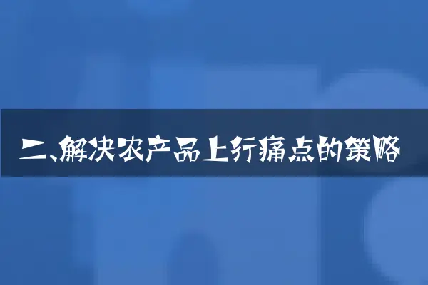 二、解决农产品上行痛点的策略